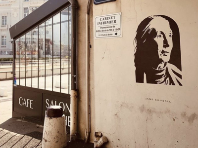 Jane Goodall by Fox in Trouville