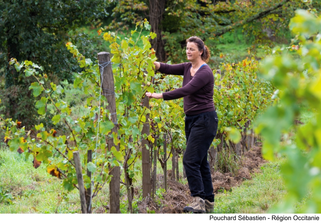 Occitanie_agricultrices